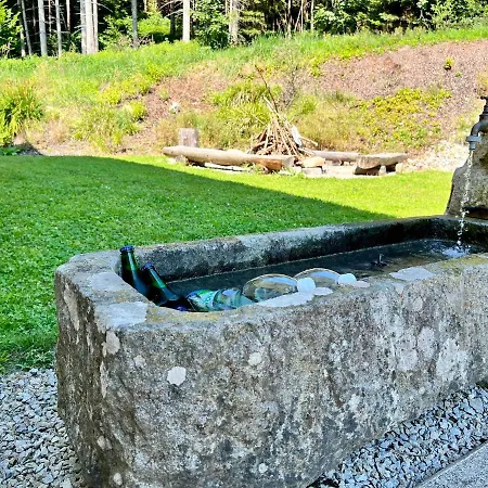 Lebenskraft Ferienhaus Pfaffetschlag