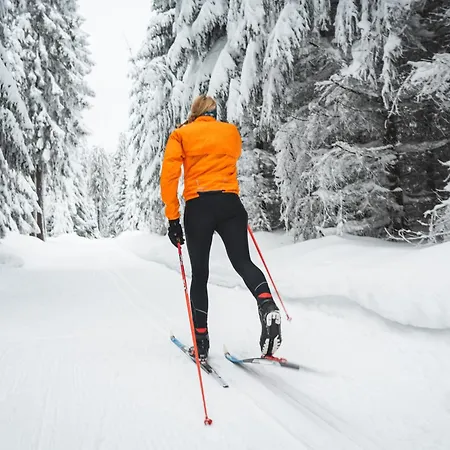 Lebenskraft Tatil Evi