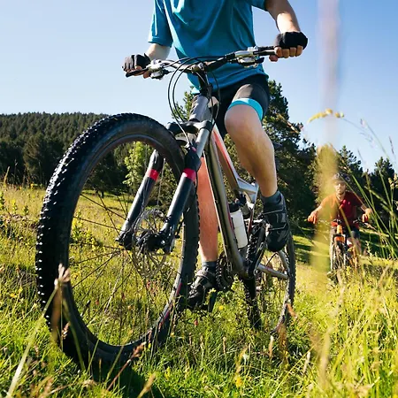 Lebenskraft * Pfaffetschlag