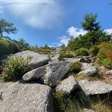 Lebenskraft Tatil Evi *