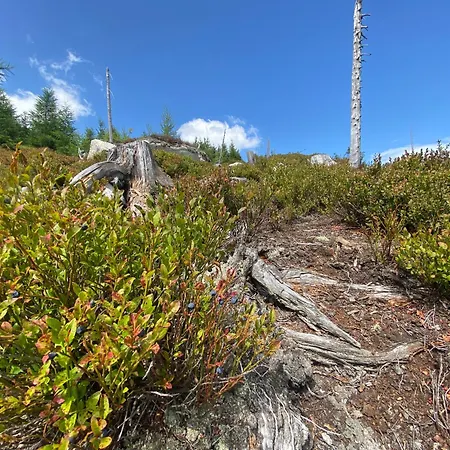 Tatil Evi Lebenskraft Pfaffetschlag
