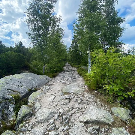 Tatil Evi Lebenskraft Pfaffetschlag