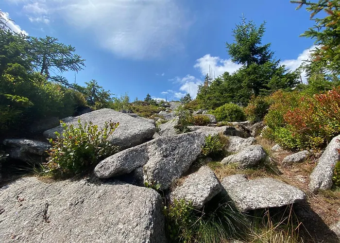 Lebenskraft Tatil Evi *