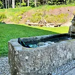 Lebenskraft Semesterbostad Pfaffetschlag