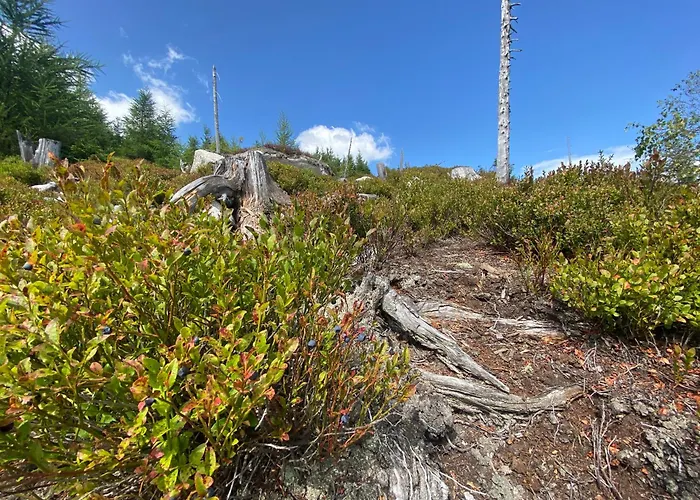 Semesterbostad Lebenskraft Pfaffetschlag