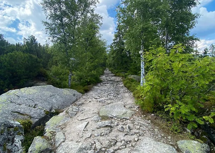 Semesterbostad Lebenskraft Pfaffetschlag